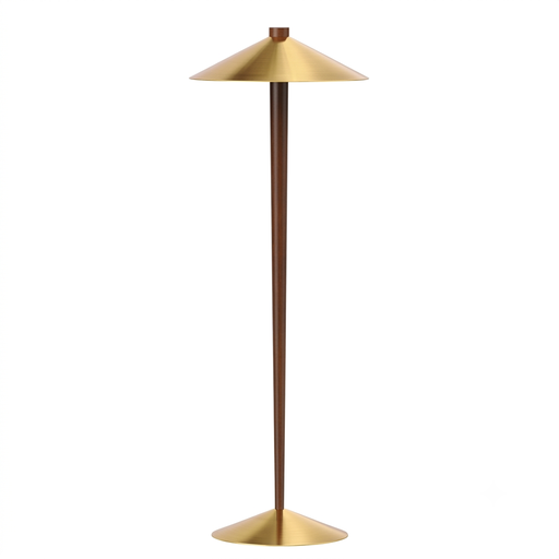 2 light burnished brass cone floor lamp STS