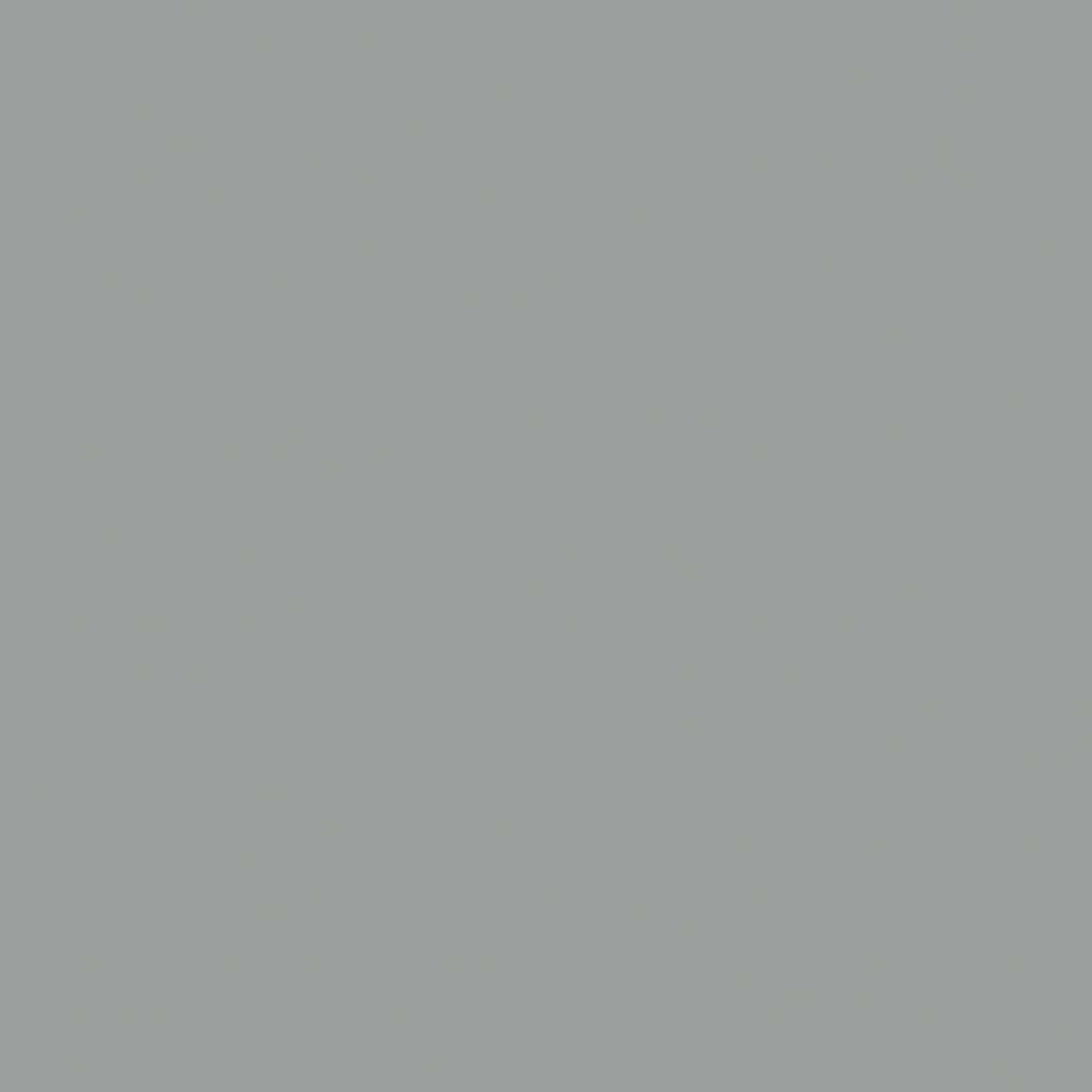 Timeless Grey 3017 2F