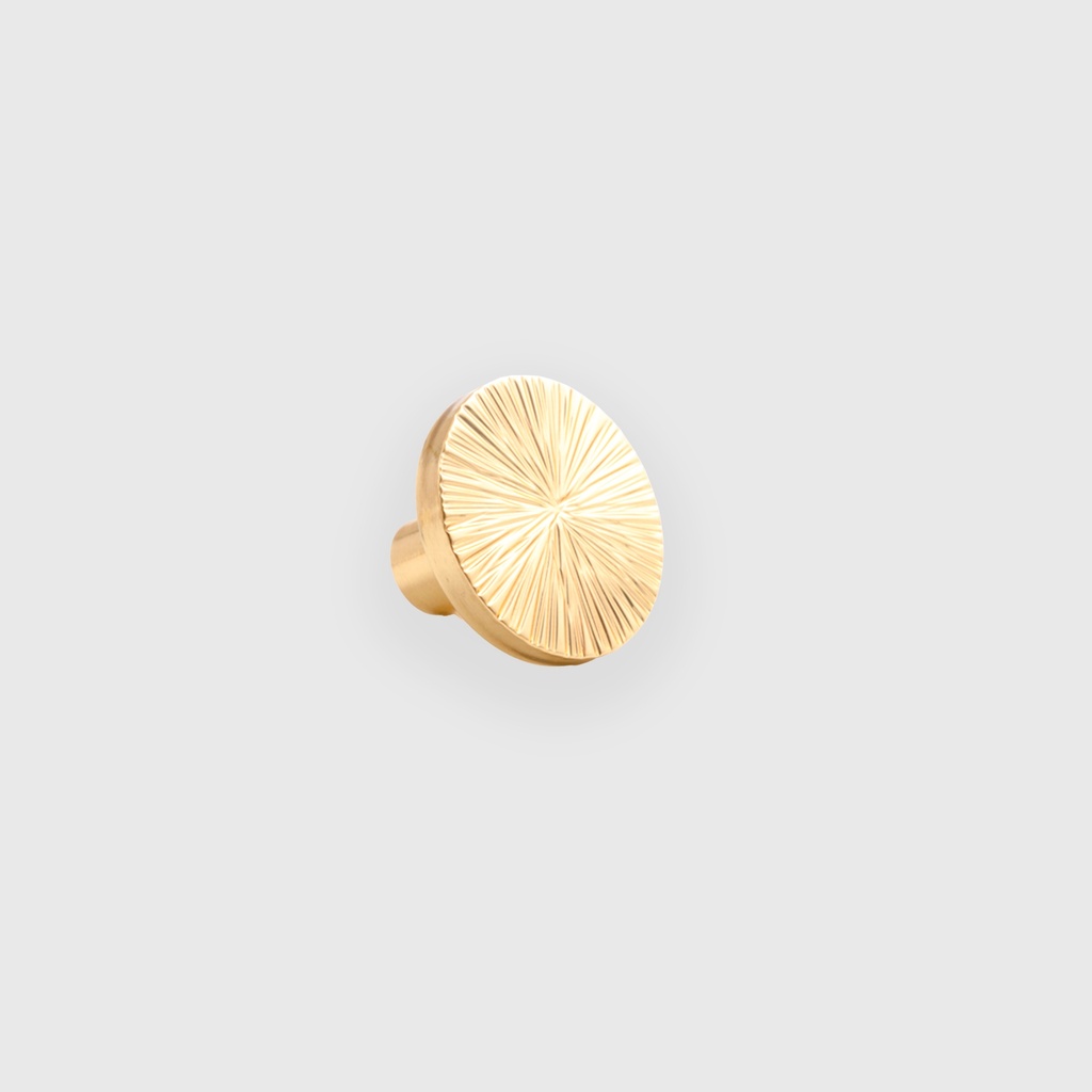 Circle Brushed Golden  Pull 