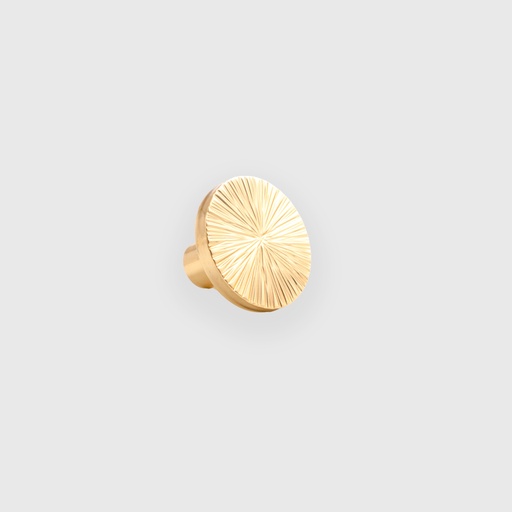 Circle Brushed Golden  Pull 