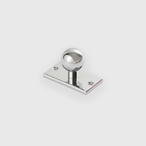 Polished Silver Backplat Knob 