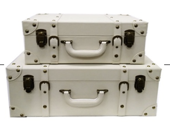 White leather zip tie case STS