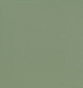 [10111] Skin Feel Matt Grass Green 10110 