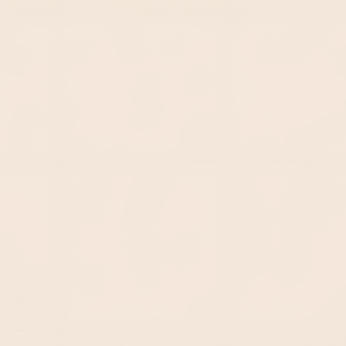 Super matt light cream 398 1F
