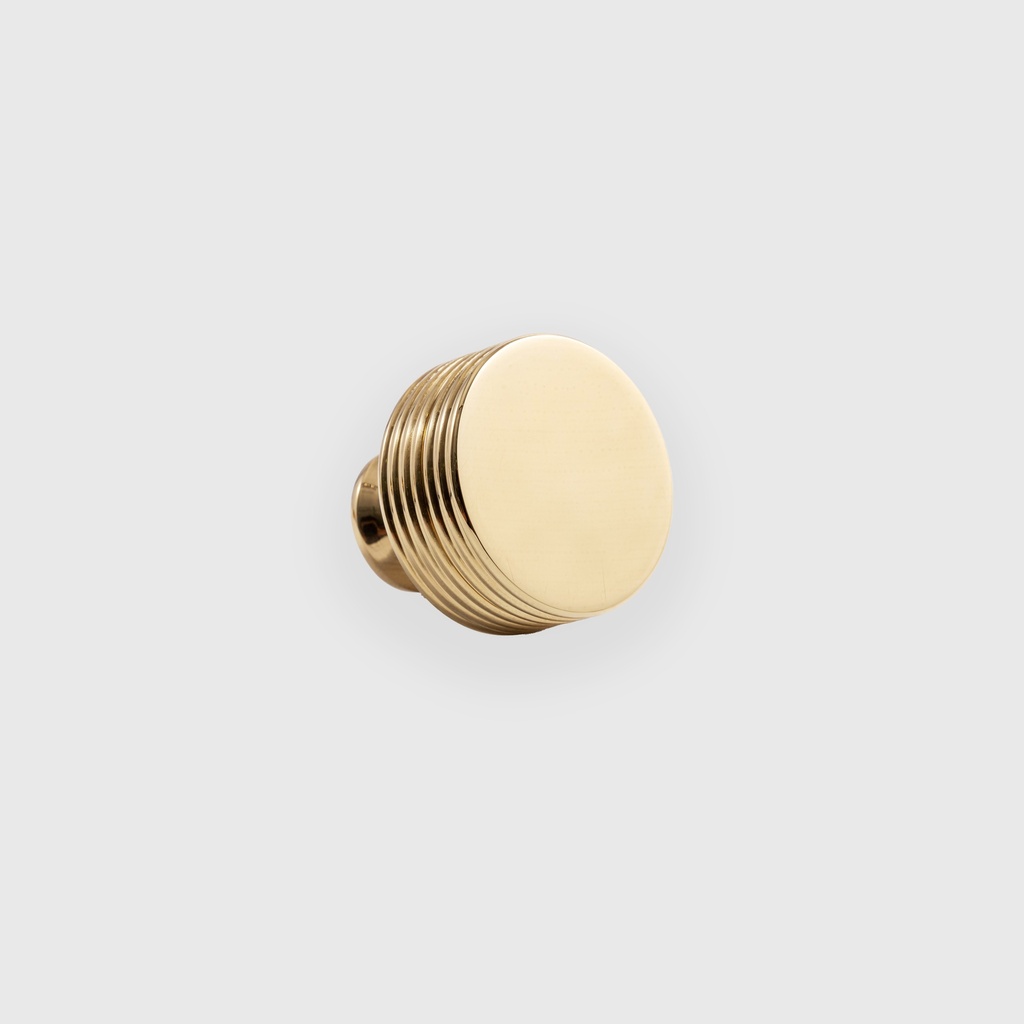 Shiny Golden Flat Knob 
