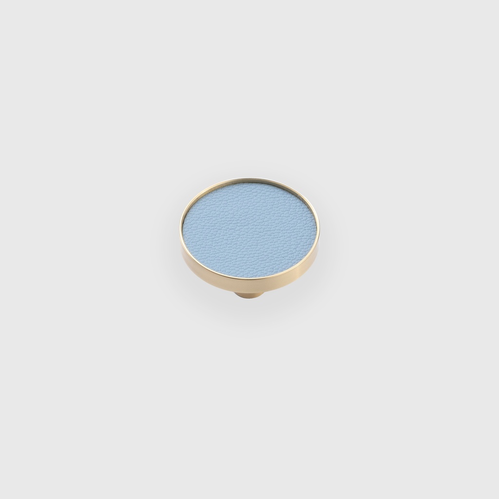 Golden framed leather knob blue handle
