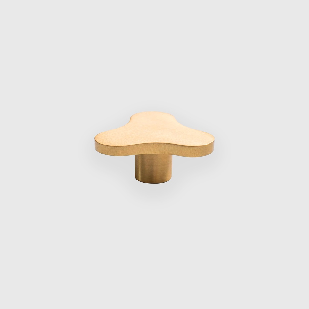Y Shape Golden Brass Knob 