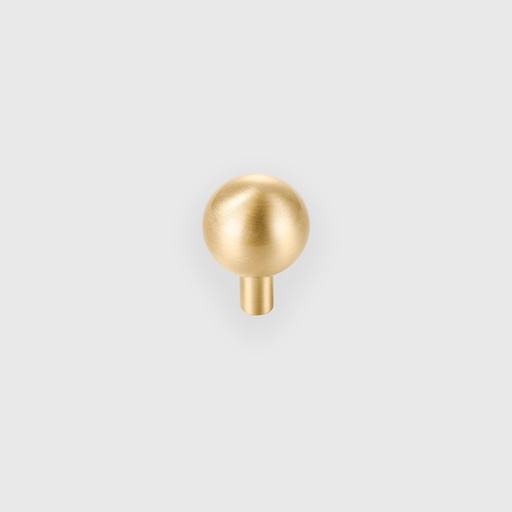 [RTR2110028] Brass Knob 