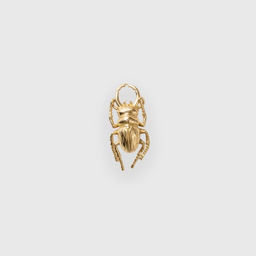 Golden Beetle Knob 