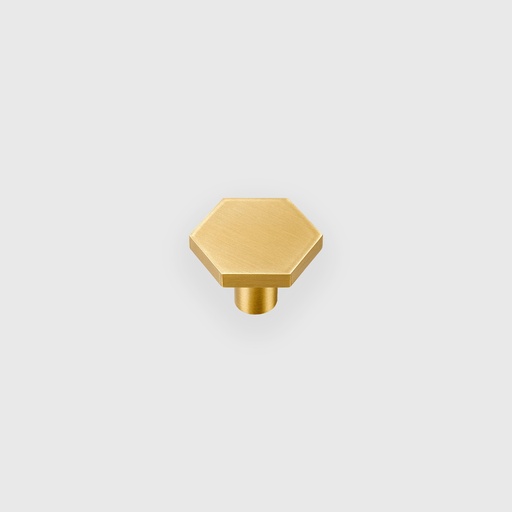 [RTR6100030] Golden Hexagon Knob 