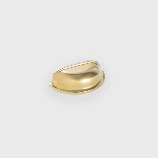 [LJO2511985] Golden Shell Cup Pull 