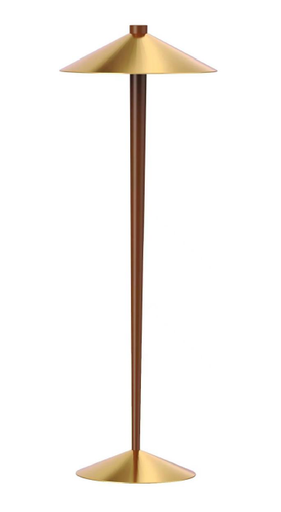 [GLFL0003] 2 light burnished brass cone floor lamp STS