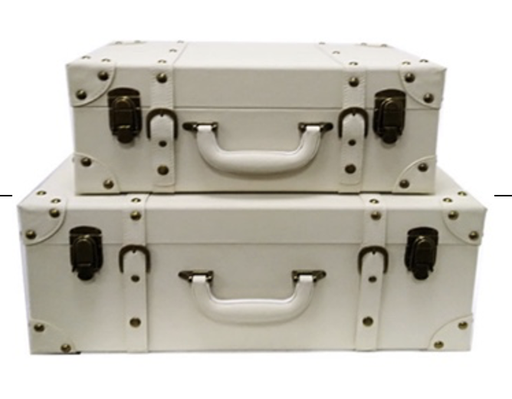 [STR2CSWH001] White leather zip tie case STS